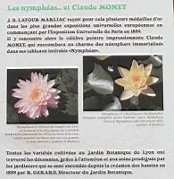15 - Les bassins aux nympheas (2).jpg